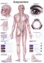 Body acupuncture poster in English, 70x100cm,  laminated, 1 pc