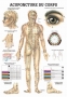 Body acupuncture poster in French, 100x70cm, 1 pc