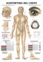 Body acupuncture poster in Italian, 100x70cm, laminated, 1 pc