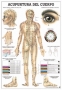 Body acupuncture poster in Spanish, 100x70cm,1 pc