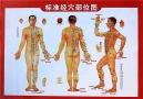 Body acupuncture poster, Chinese, 53x38cm, 1 pc