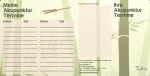 German Tewa patient appointment cards, A6, 100 pcs