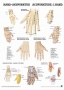 Hand Acupuncture poster in English & German, 70x50cm, 1 pc