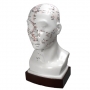 Male head model 20 cm with points 1 pc