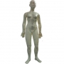 Model female 48 cm with points 1 pc