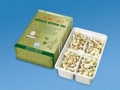 Mini Moxa adesiva, piccola, 200 pz